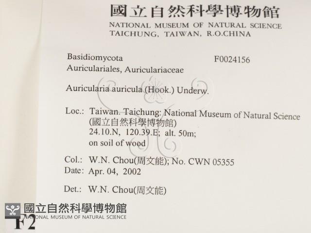 登錄號:F0024156藏品圖，第2張