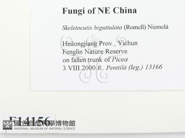 登錄號:F0014156藏品圖，第2張