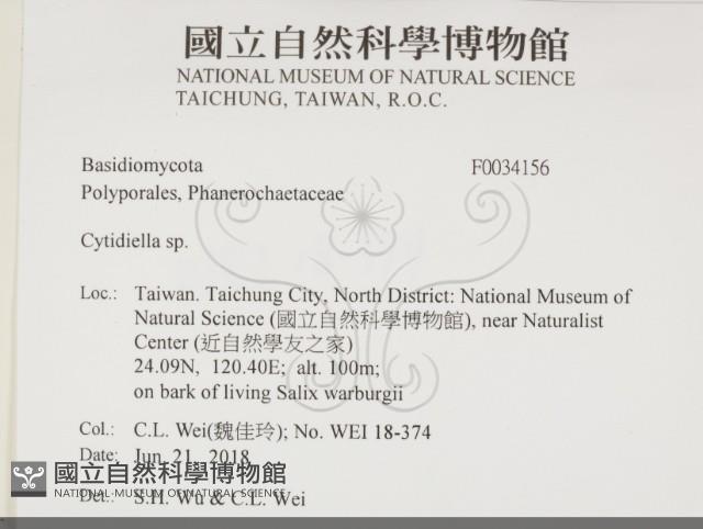 登錄號:F0034156藏品圖，第2張