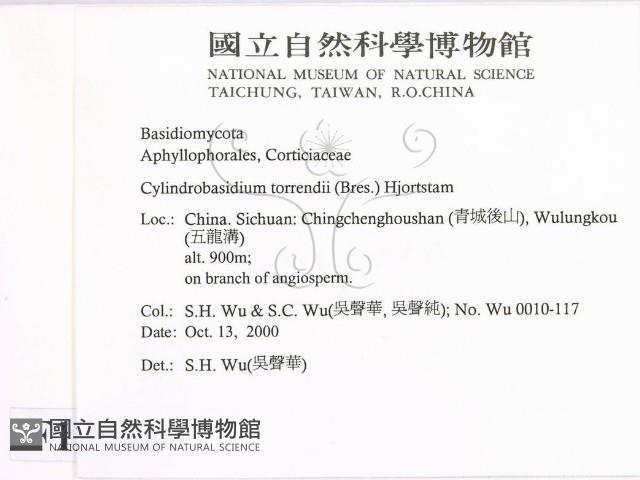 登錄號:F0012156藏品圖，第2張