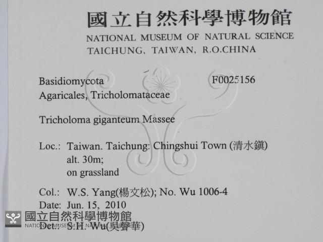 登錄號:F0025156藏品圖，第2張