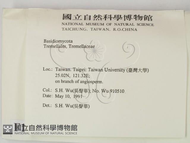 登錄號:F0015156藏品圖，第2張