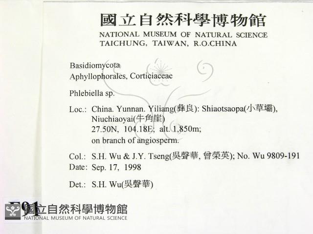 登錄號:F0009156藏品圖，第2張