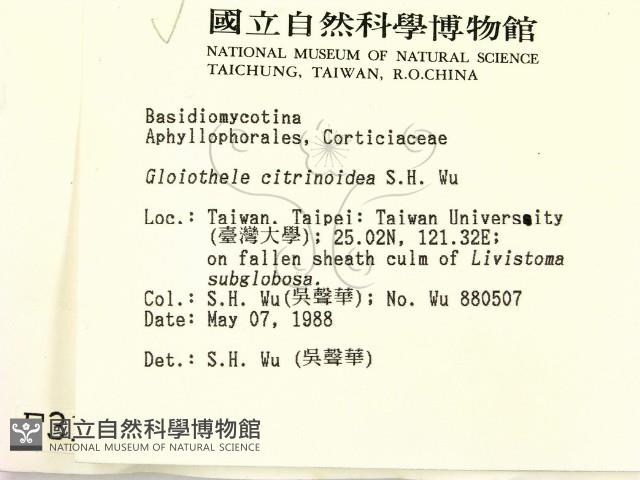 登錄號:F0003156藏品圖，第2張