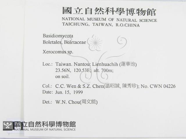 登錄號:F0013156藏品圖，第2張