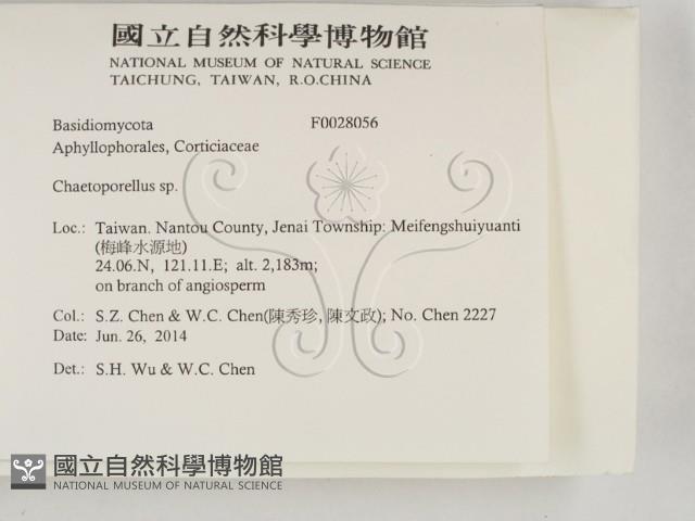 登錄號:F0028056藏品圖，第2張