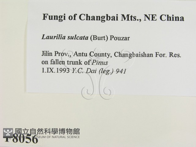 登錄號:F0008056藏品圖，第2張