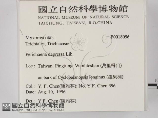 登錄號:F0018056藏品圖，第2張