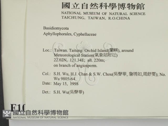 登錄號:F0010056藏品圖，第2張