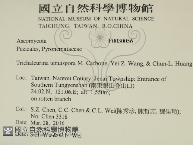 登錄號:F0030056藏品圖，第2張