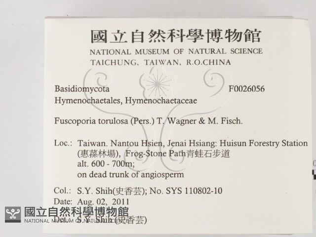 登錄號:F0026056藏品圖，第2張