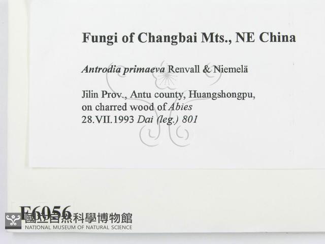 登錄號:F0006056藏品圖，第2張