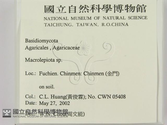 登錄號:F0016056藏品圖，第2張