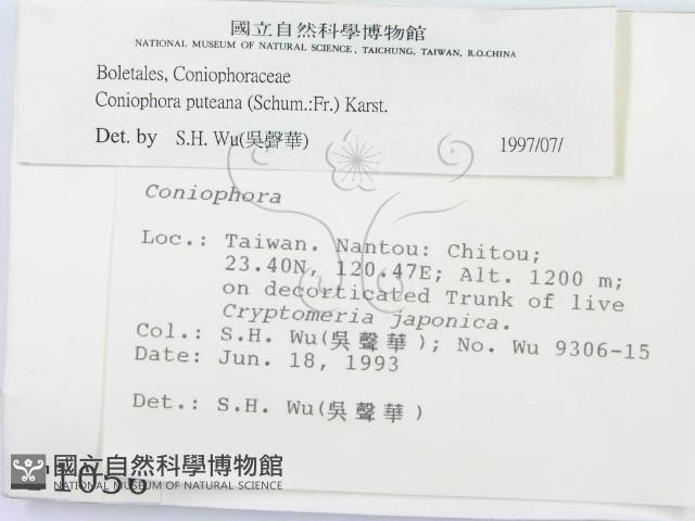 登錄號:F0001056藏品圖，第2張