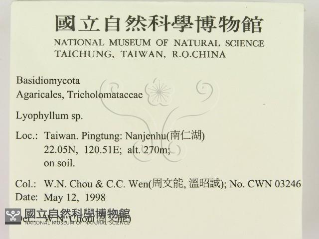 登錄號:F0011056藏品圖，第2張