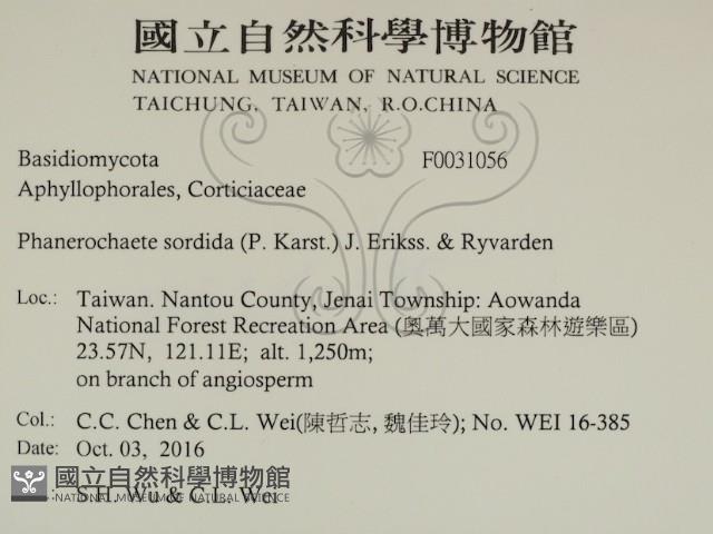 登錄號:F0031056藏品圖，第2張