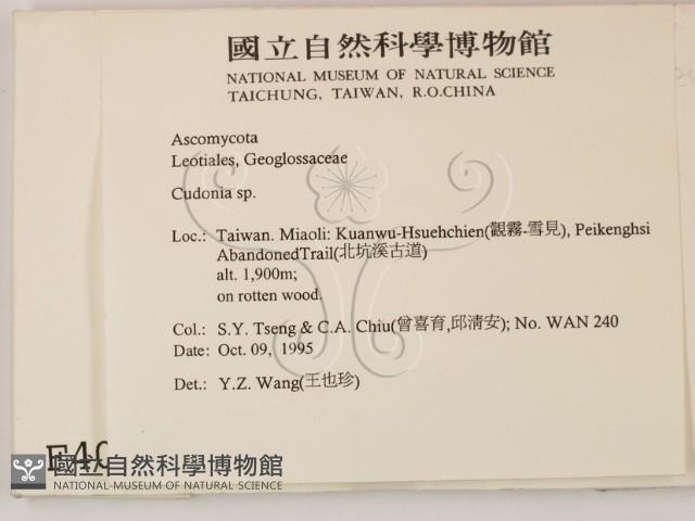 登錄號:F0004056藏品圖，第2張