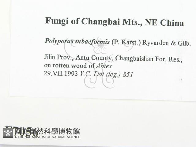 登錄號:F0007056藏品圖，第2張