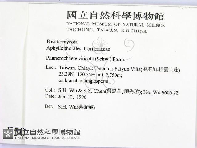 登錄號:F0005056藏品圖，第2張