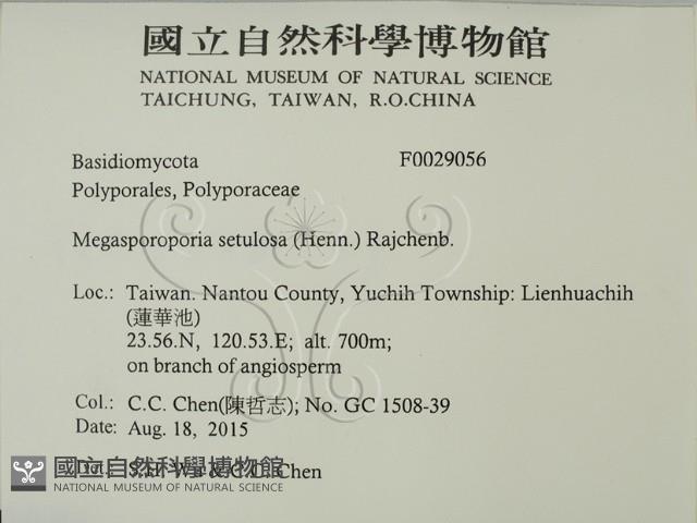 登錄號:F0029056藏品圖，第2張