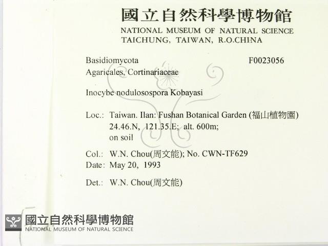登錄號:F0023056藏品圖，第2張