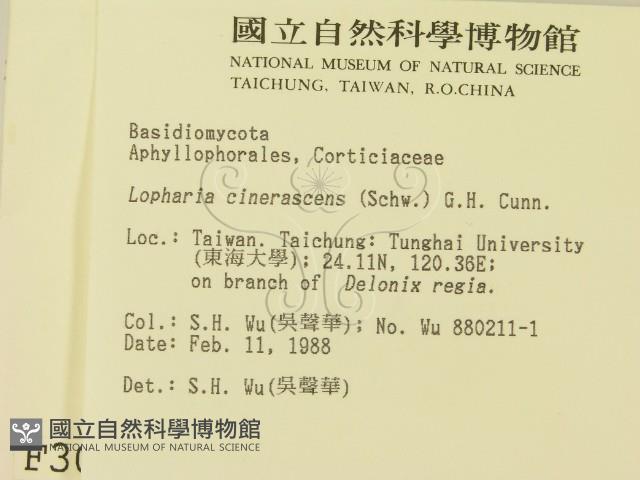 登錄號:F0003056藏品圖，第2張