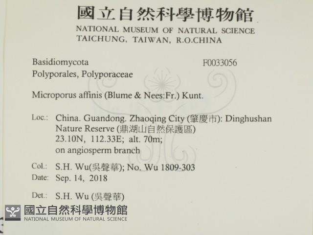 Accession Number:F0033056 Collection Image, Figure 2, Total 2 Figures