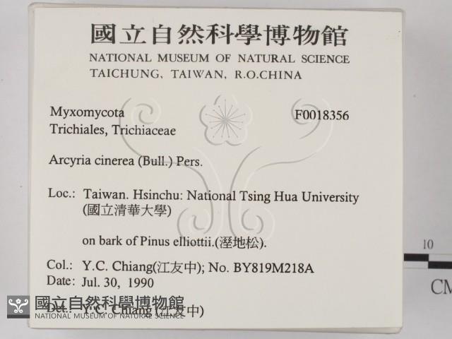 登錄號:F0018356藏品圖，第2張