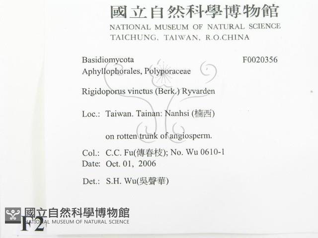登錄號:F0020356藏品圖，第2張