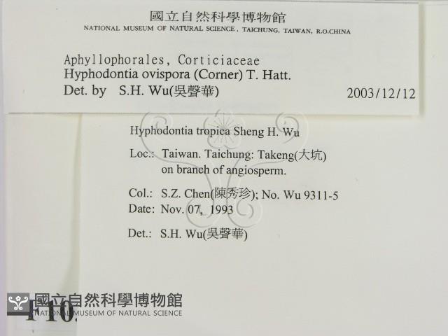 登錄號:F0010356藏品圖，第2張