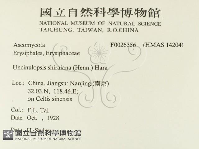登錄號:F0026356藏品圖，第2張
