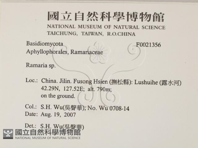 登錄號:F0021356藏品圖，第2張