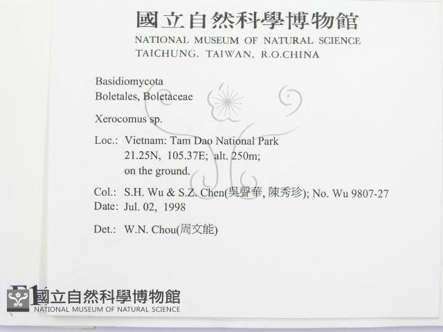 登錄號:F0011356藏品圖，第2張