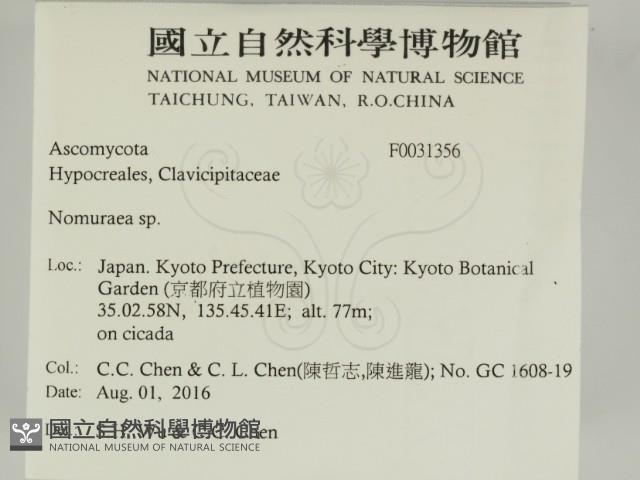 登錄號:F0031356藏品圖，第2張