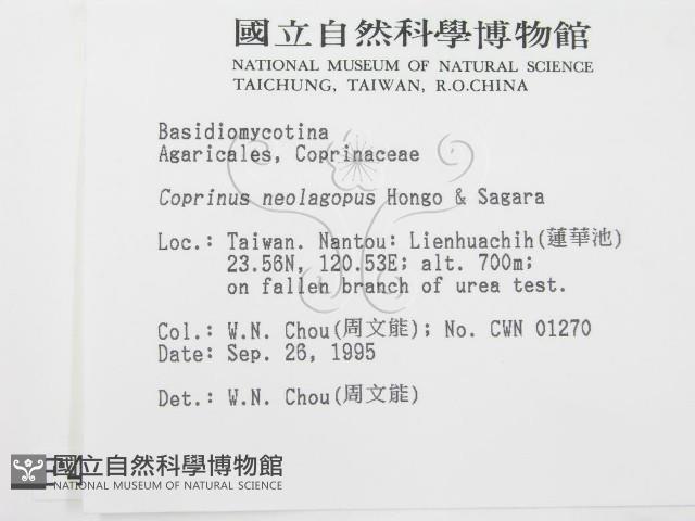 登錄號:F0004356藏品圖，第2張