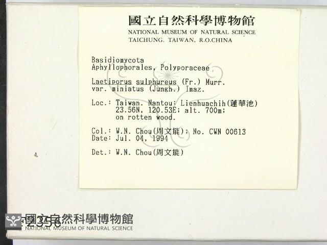 登錄號:F0002356藏品圖，第2張