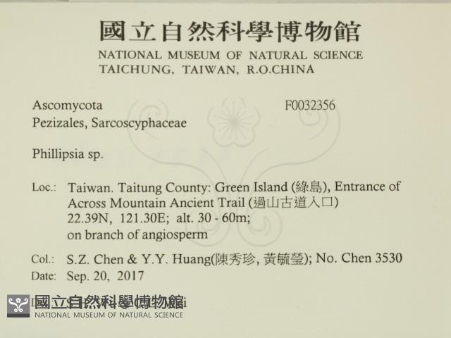 登錄號:F0032356藏品圖，第2張