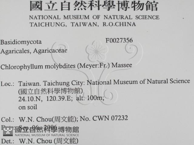 登錄號:F0027356藏品圖，第2張