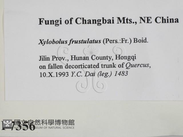 登錄號:F0007356藏品圖，第2張