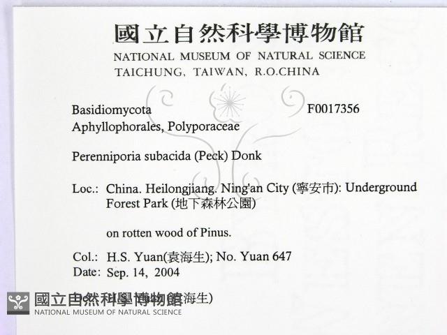 登錄號:F0017356藏品圖，第2張