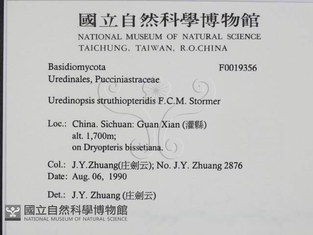 登錄號:F0019356藏品圖，第2張