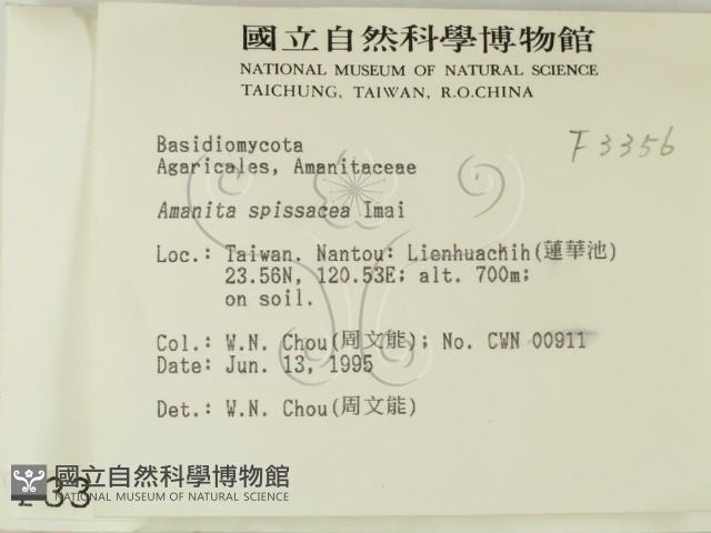 登錄號:F0003356藏品圖，第2張