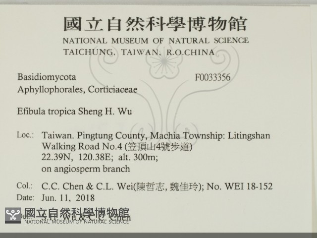 登錄號:F0033356藏品圖，第2張