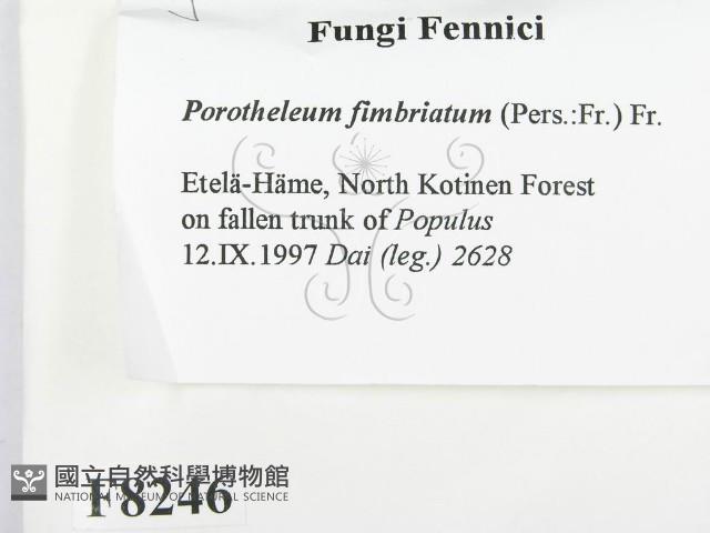 登錄號:F0008246藏品圖，第2張