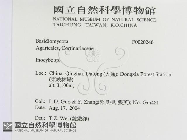 登錄號:F0020246藏品圖，第2張
