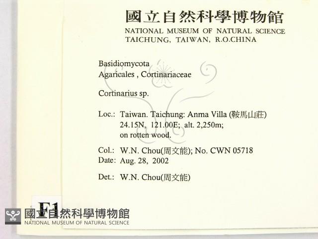 登錄號:F0016246藏品圖，第2張