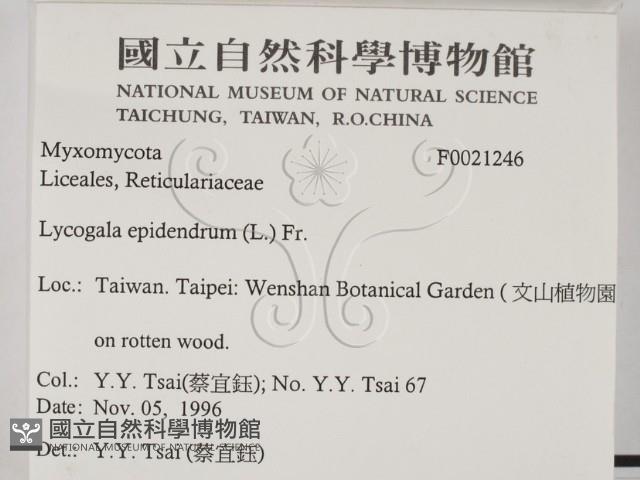 登錄號:F0021246藏品圖，第2張