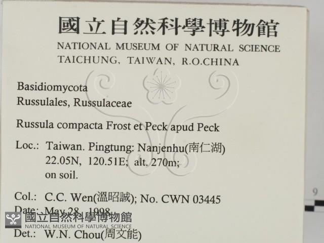 登錄號:F0011246藏品圖，第2張