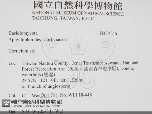 登錄號:F0034246藏品圖，第2張