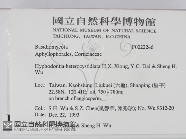 登錄號:F0022246藏品圖，第2張